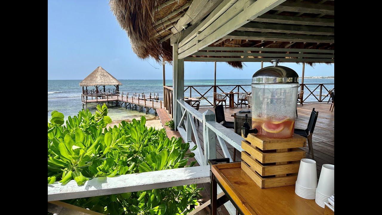 One Night - Hyatt Ziva Riviera Cancun, First Impressions, Checking In, Exploring Property, Fire Show