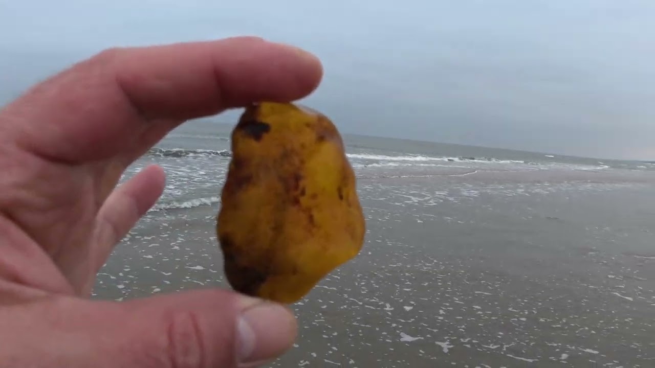 Jantar 25.01 poszukiwania bursztynu