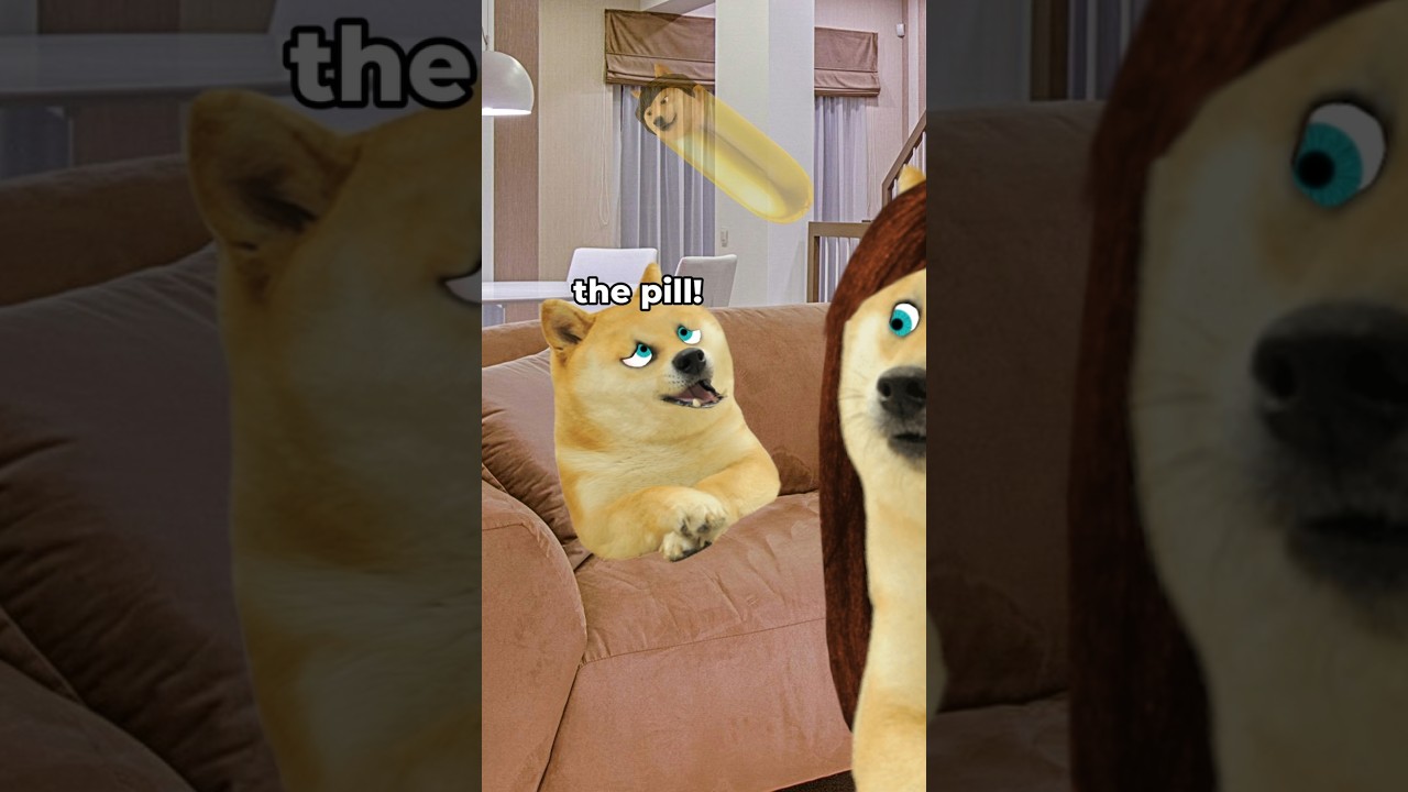 lil doge has trouble swallowing his medicine