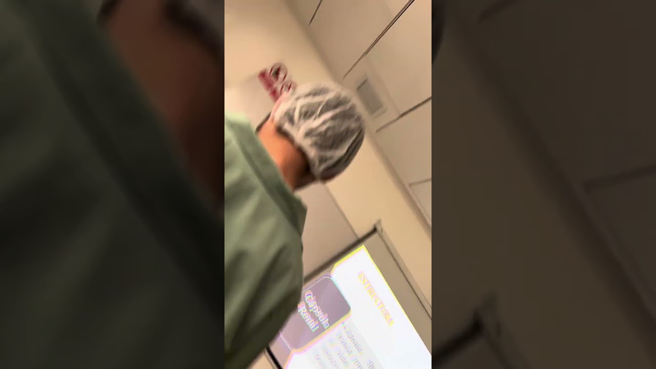 Anatomía Animal - S. 6 - Práctica 2