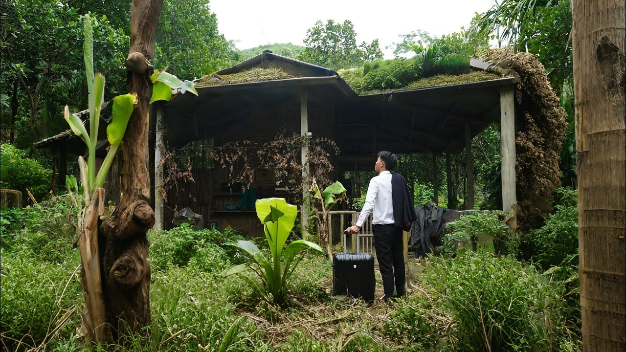 CEO Leave City for the Forest to build new life after bankrupt. Restore abandoned house