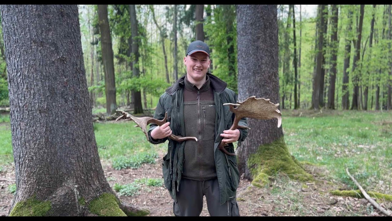Sběr shozů 2024