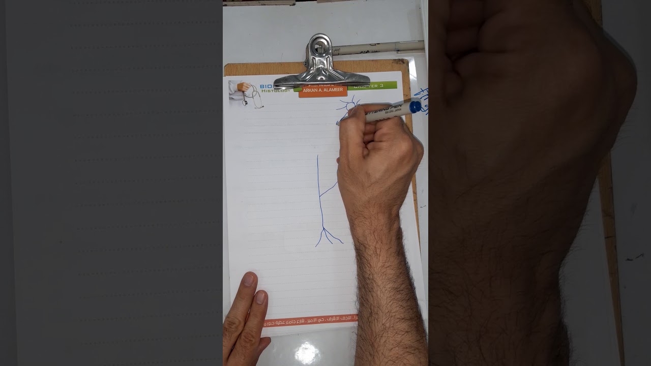 تثبيت ثاني اوكسيد الكاربون
