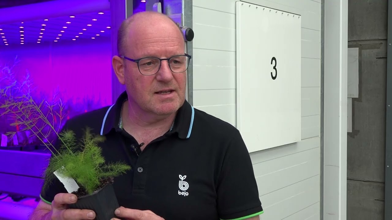 Kom in de Kas 2025 - Bejo Zaden en Kwekerij Stals