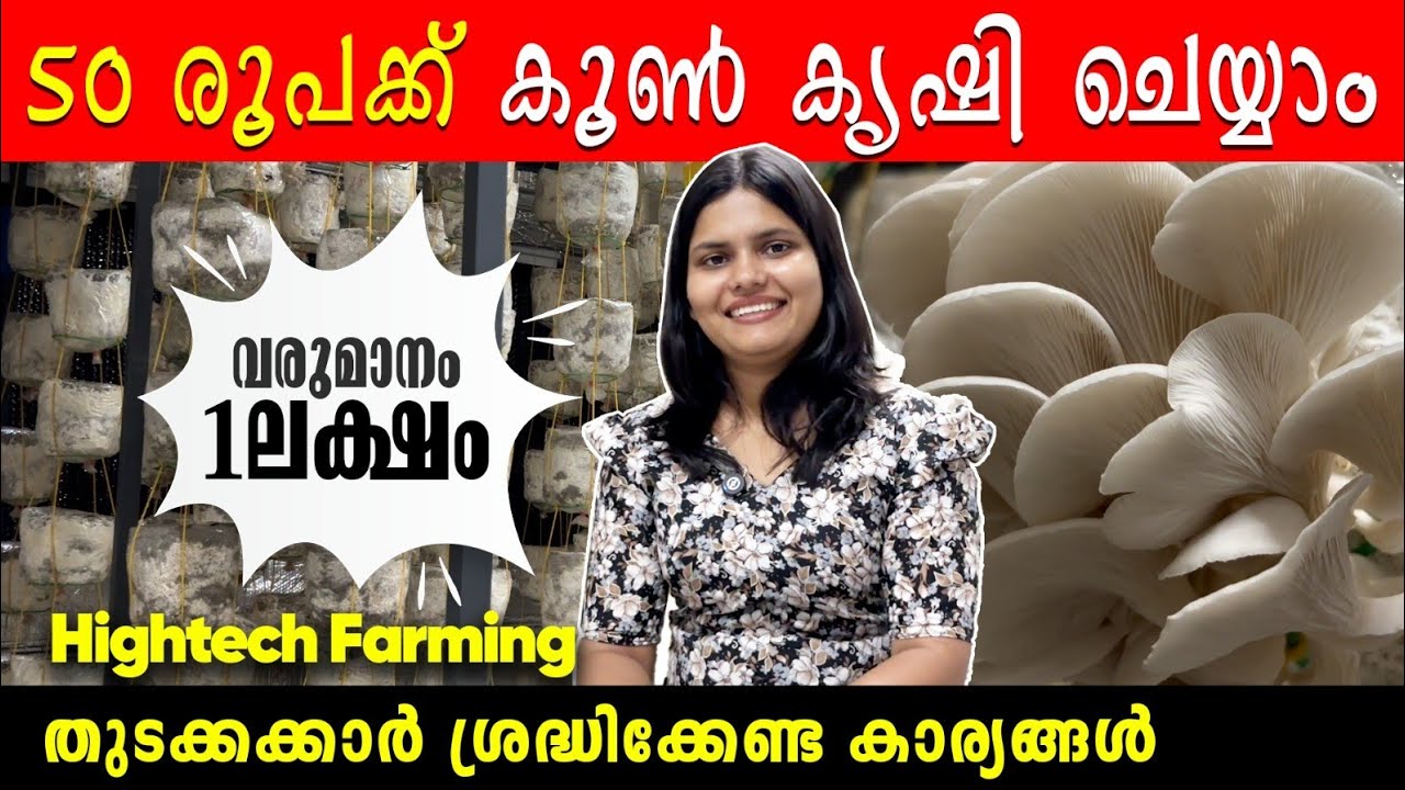 2 ബെഡിൽ 5Kg കൂൺ |വിത്തും പരിശീലനവും |HOW TO START MUSHROOM FARMING