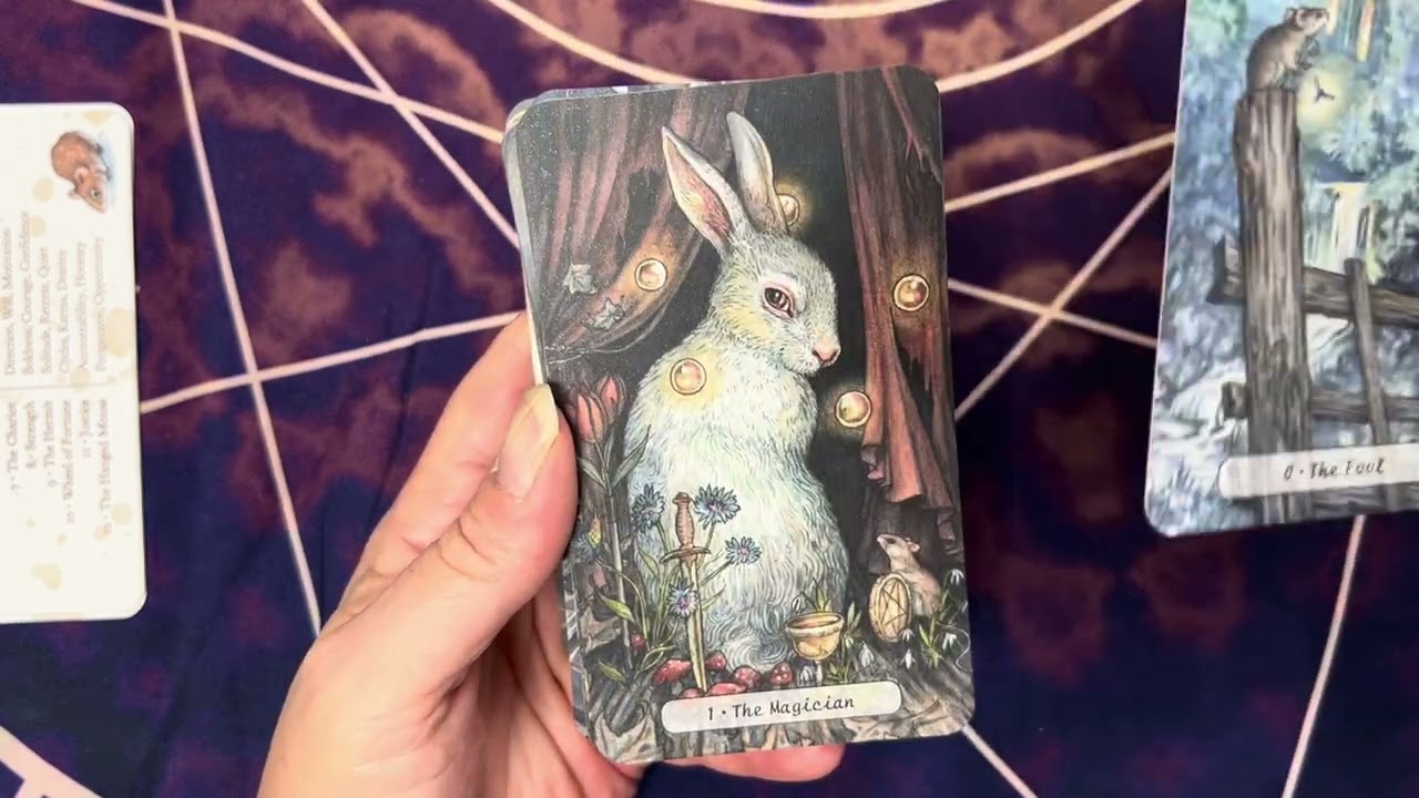 More Tarot and Oracle Unboxings!