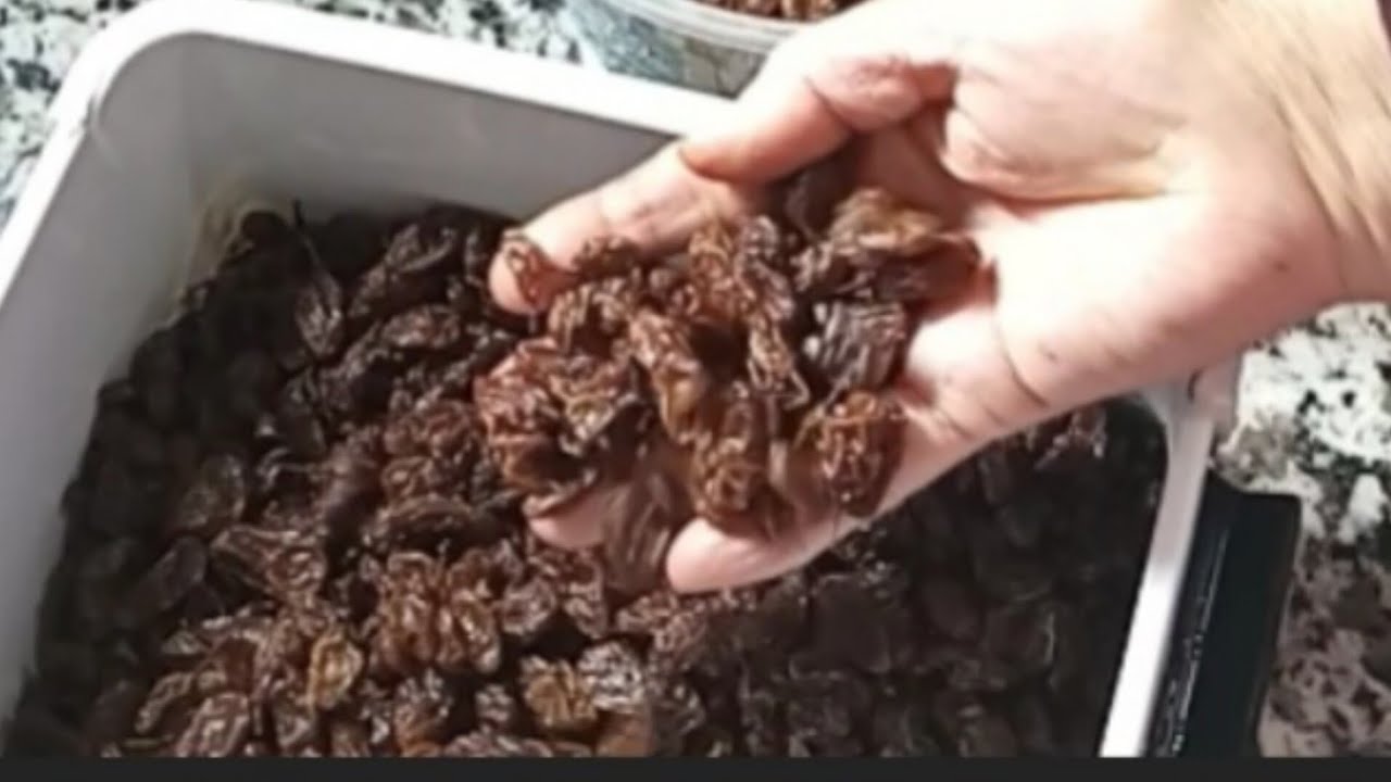 تحضير الزبيب بالبيت افضل من الجاهز  بدون مواد حافظة ولا كبريت .