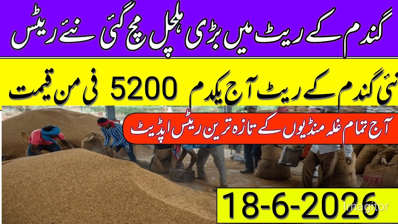 New Gandum Rates Today 2026 || NewWheat Price Today || Gundam kay RatesToday 2026