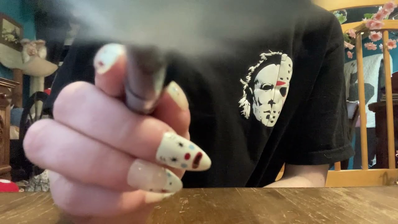 Lofi Camera Brushing (no sound, my cats were making a lot of noise and being evil)