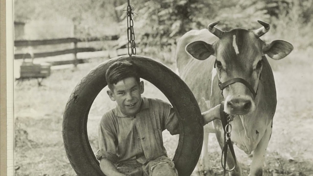 Everywhere A Mountain (Music Video)