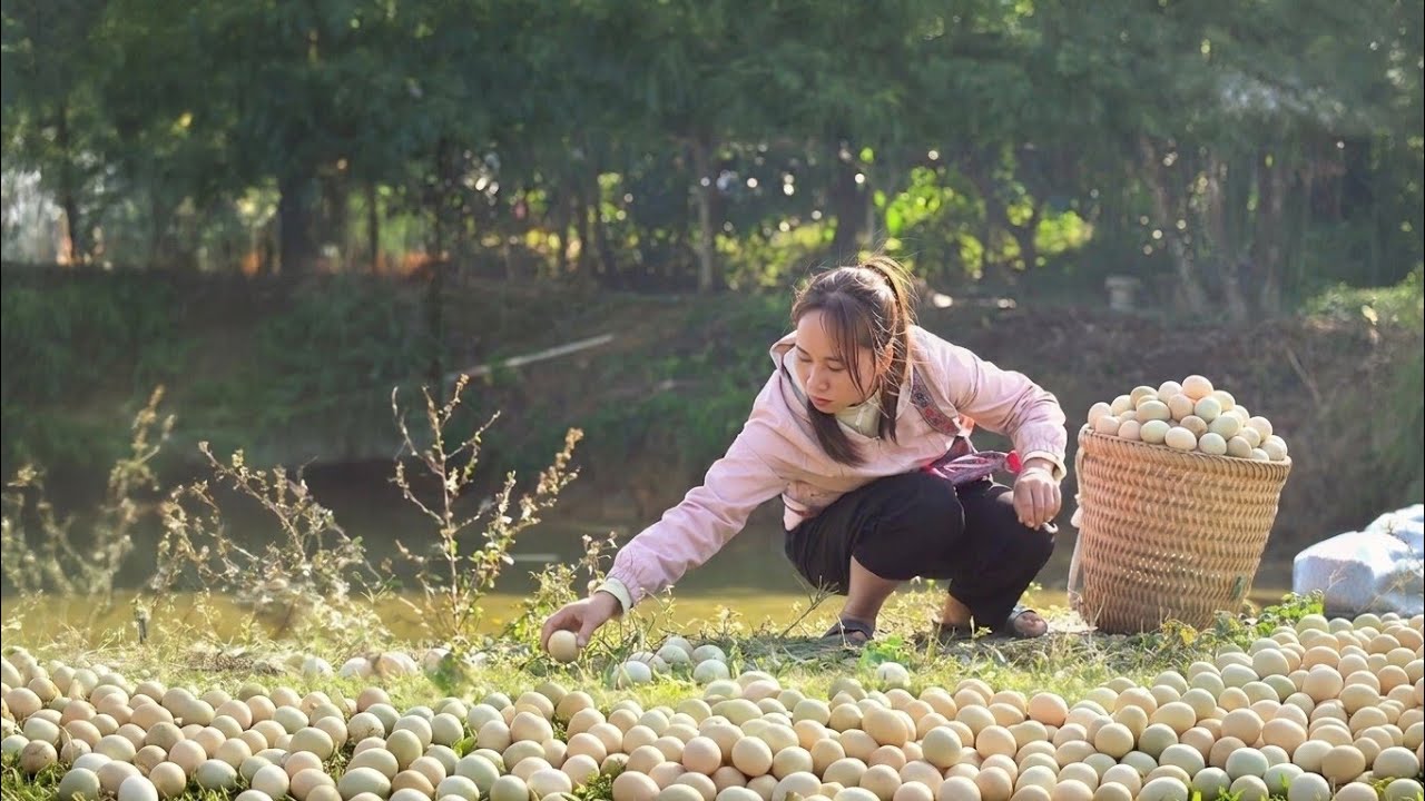 [REVERSE VIDEO] 90 days to harvest lots of eggs, sweet potatoes, pomelos, etc. to sell at the market