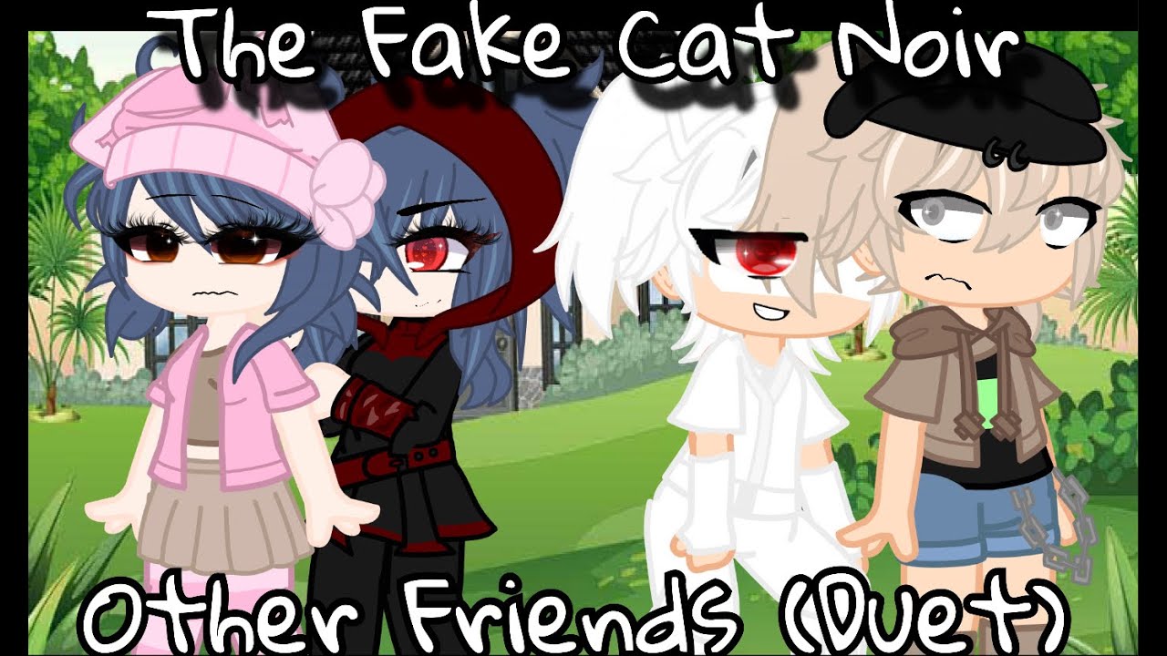 The fake chat noir (other friends duet)