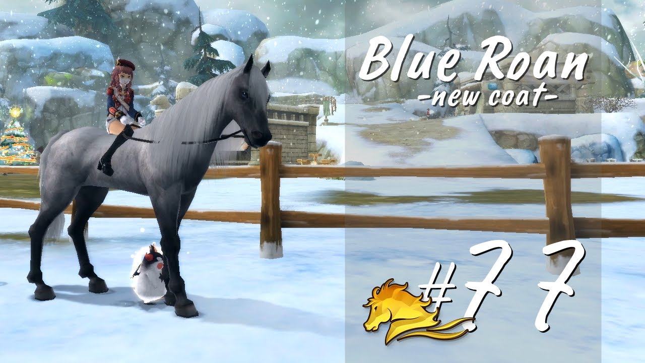 Alicia Online Breeding #77: new coat - blue roan!