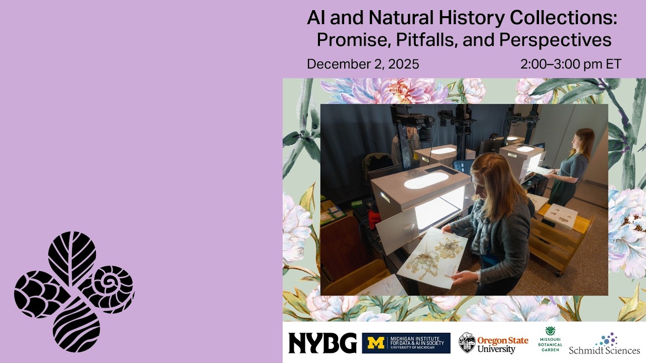 AI and Natural History Collections: Promise, Pitfalls, and Perspectives | Webinar (Dec 2, 2025)