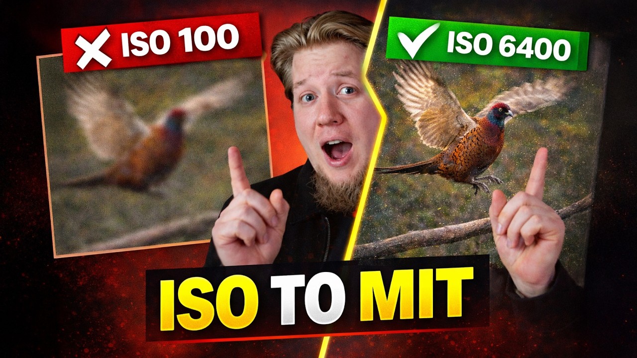 ISO to największy MIT w fotografii