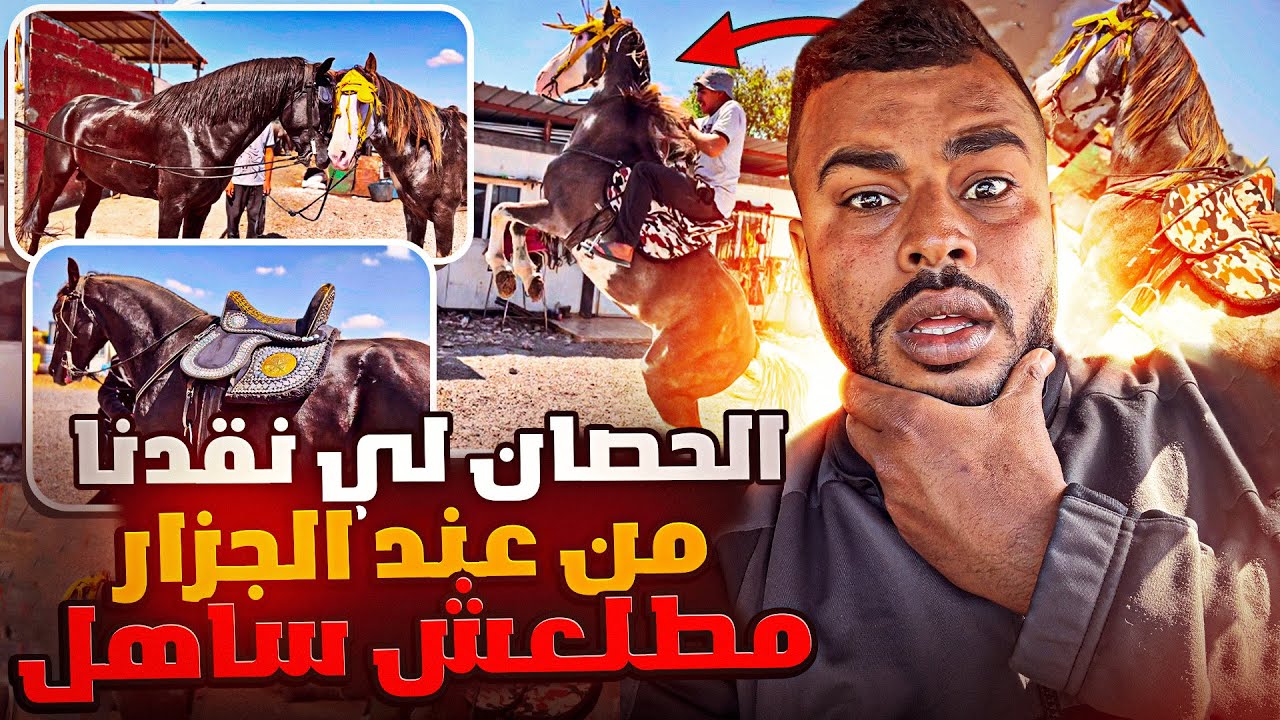 🚨تطور رهـيب للـعزوى 😱 وكي تحدى الحصان الهندي🇮🇳 لينقدنا من الجزار 😂 شكون الفائز فنظركم ؟….