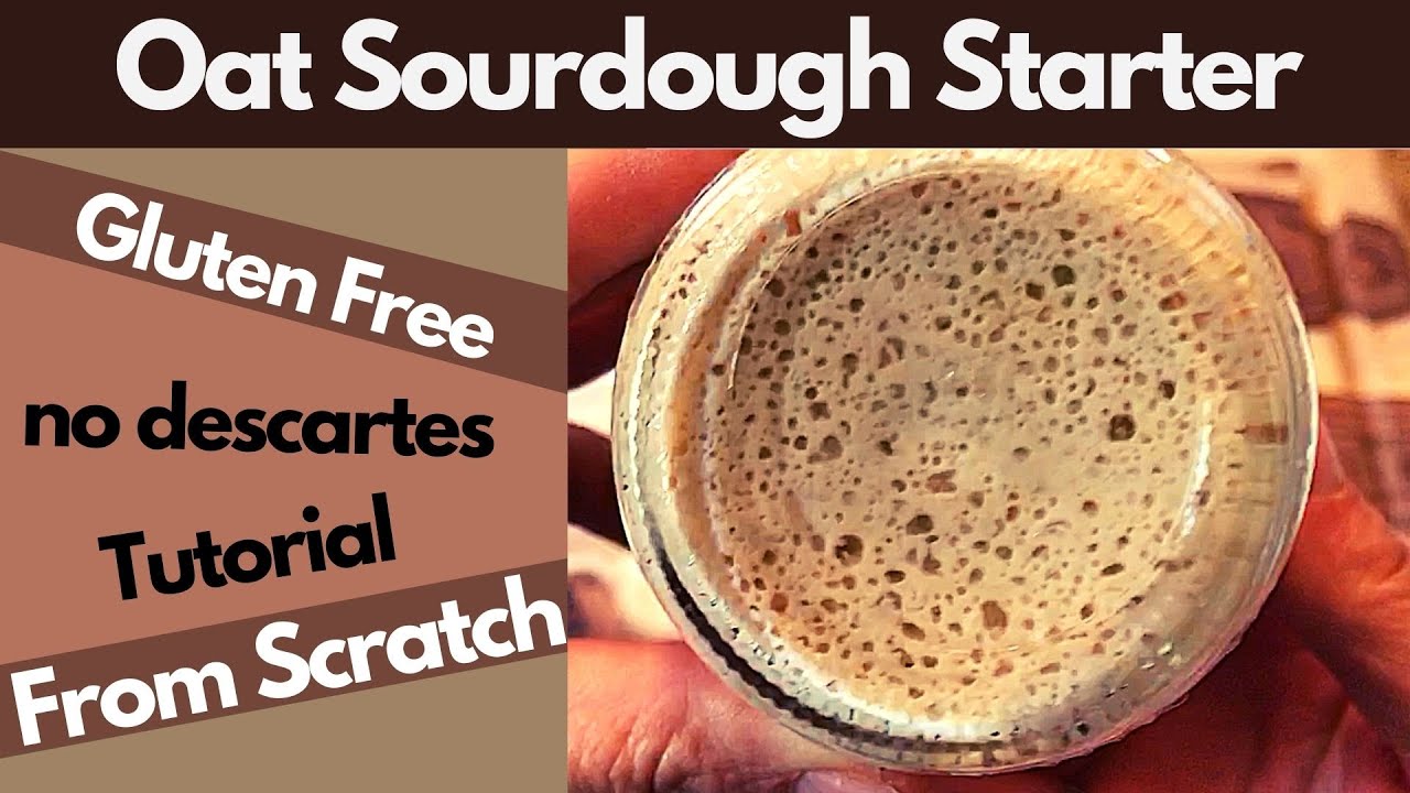 GLUTEN FREE OAT SOURDOUGH STARTER