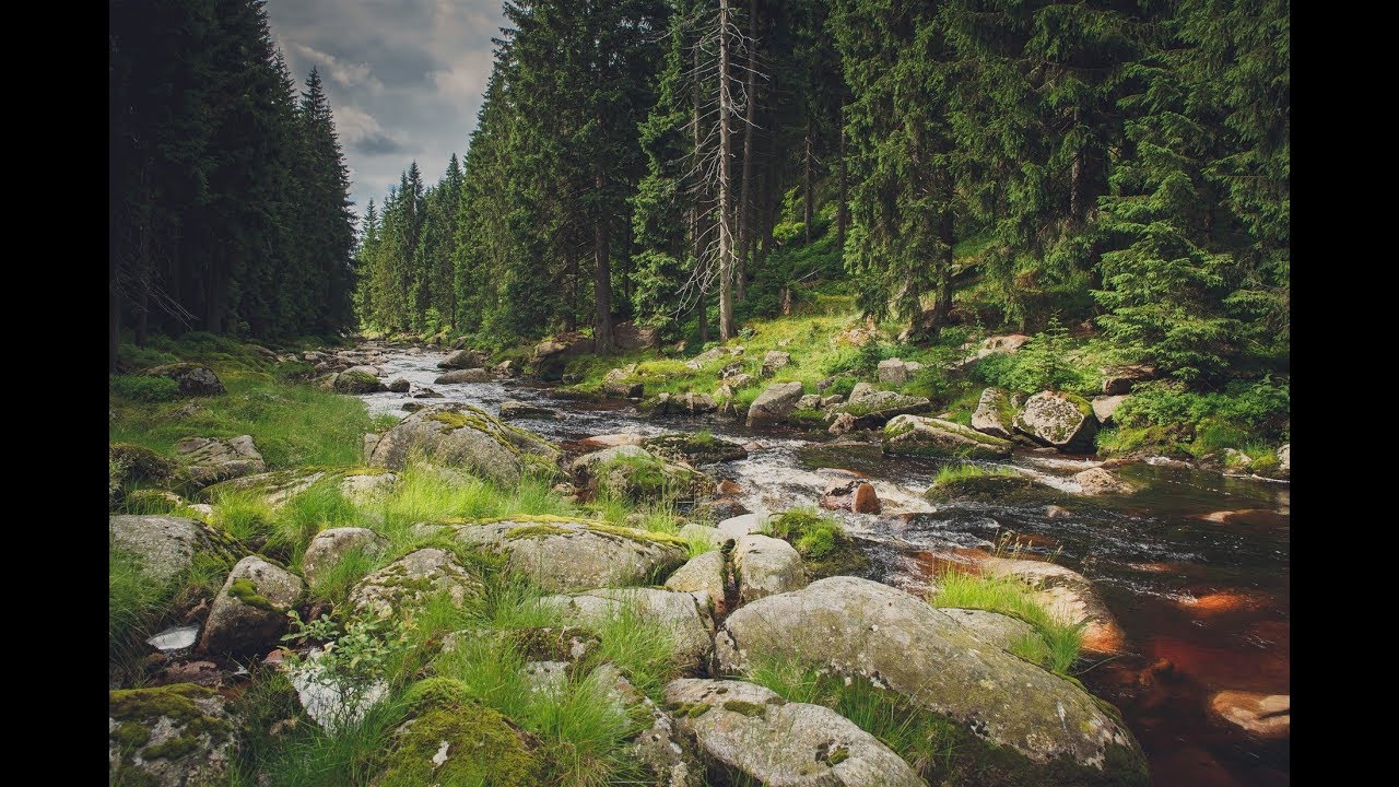 IZERY - SCHRONISKO ORLE