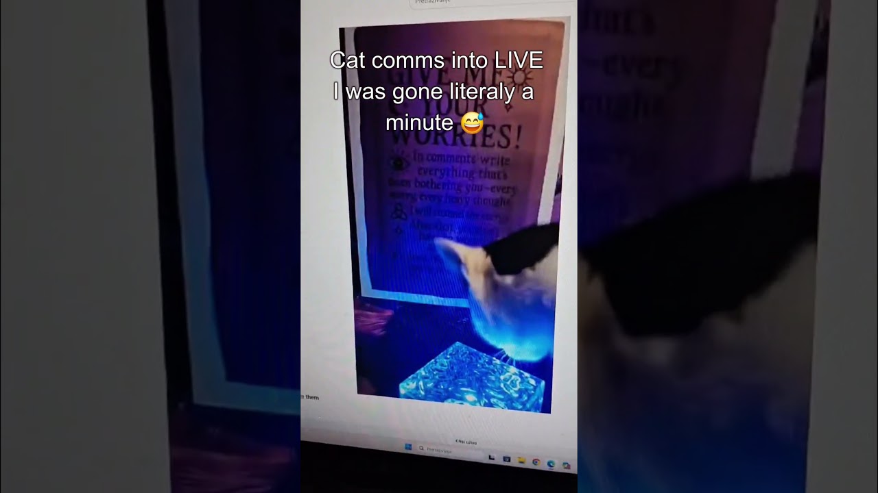 #livestream