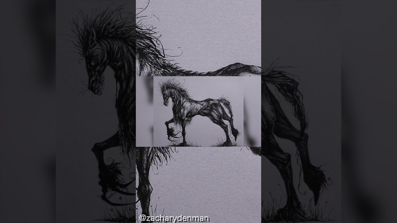Each-uisge is a Scottish Water Beast #cryptids #cryptid #kelpie  #waterhorse