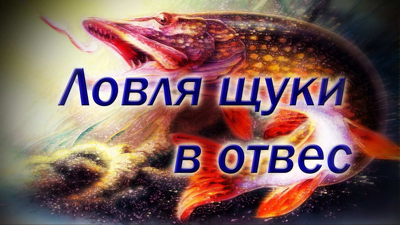 Ловля щуки с лодки в отвес.