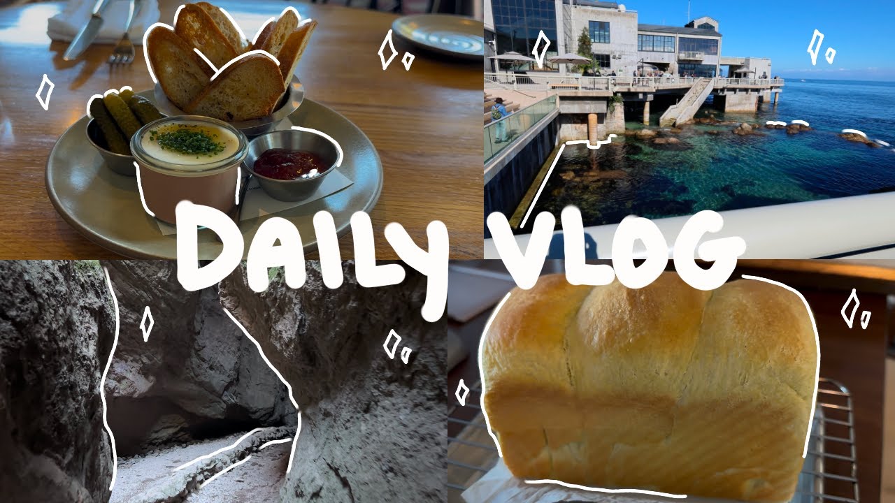 Daily Vlog: Baking Bread and Bolillos, New Stickers, Inktober, Monterey Bay, Pinnacles National Park