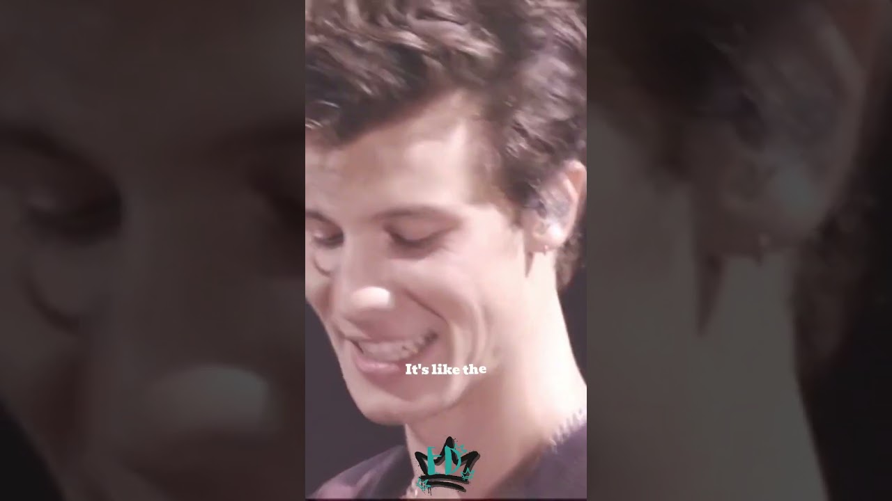 In My Blood - Shawn Mendes (Raw)