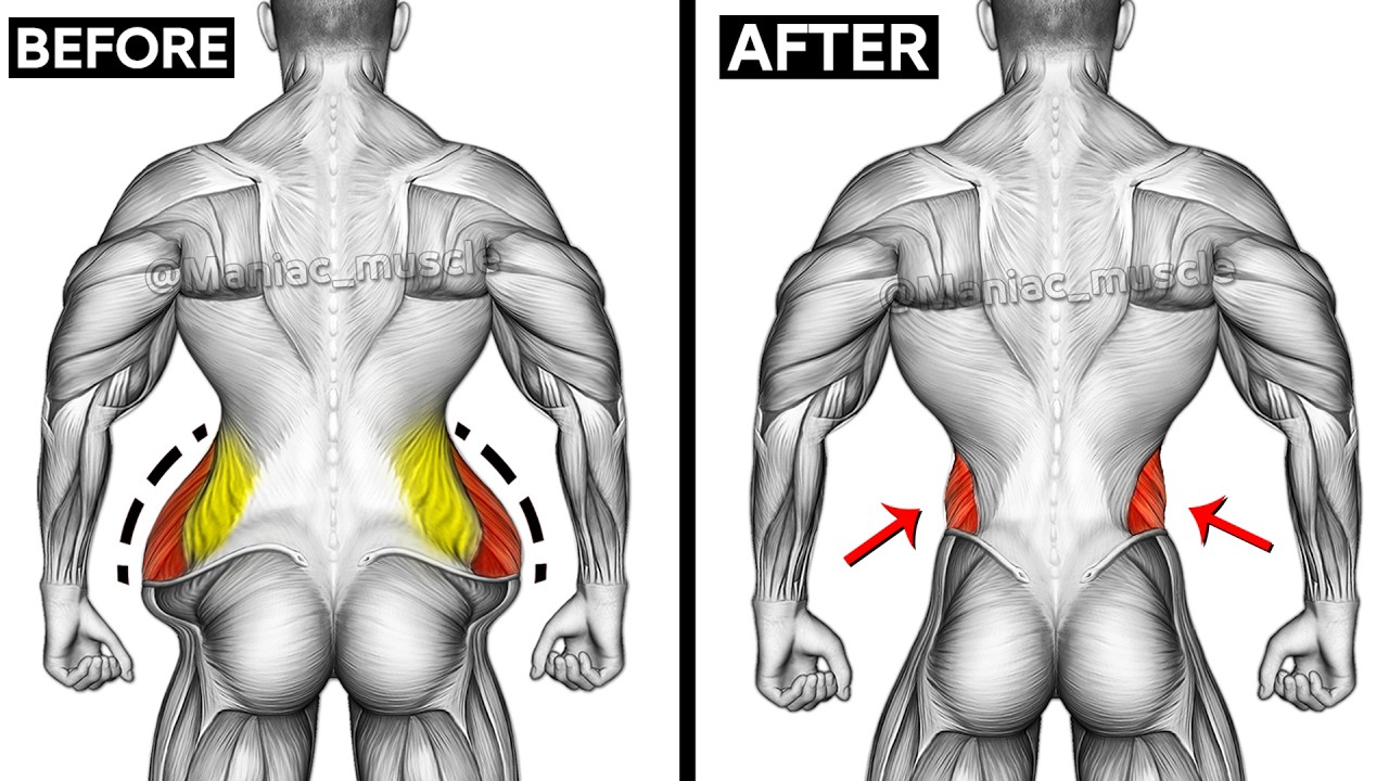 Don't Miss These 8 Perfect Oblique Exercises 🎯