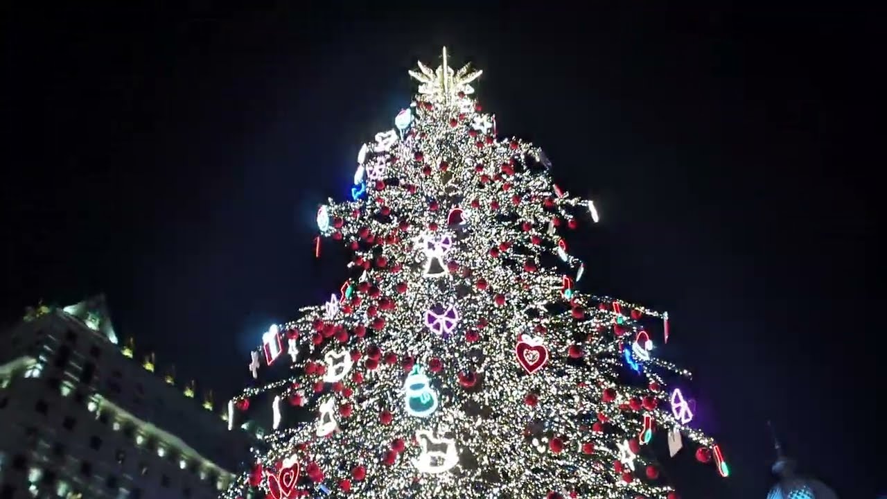2025.12.22 Батуми. Площадь ЕРА. Улица Мемед Абашидзе (бывшая Сталина). Видео №03