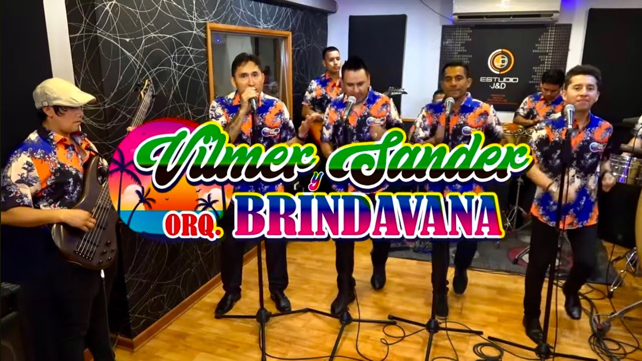 LLORANDO EN LA SOLEDAD-VILMER SANDER/ORQUESTA BRINDAVANA. Musica sanjuanera.