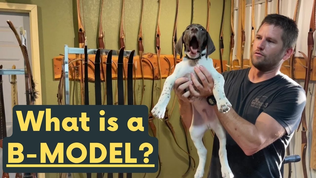 B-Model Confusion | Great Plains Bow Company