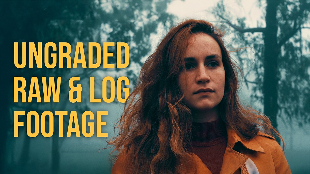 Где найти кинематографические RAW и LOG кадры