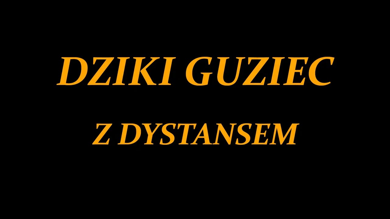 Dziki Guziec - Z Dystansem