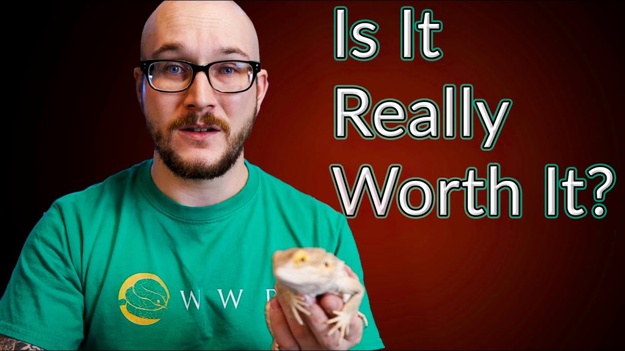 Reptile Room Daily Routine | Is Keeping 75 Reptiles Worth The Work?