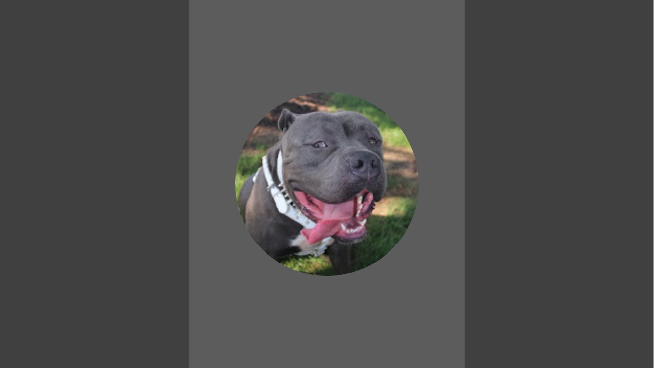 WorthDaWait kennels is live!