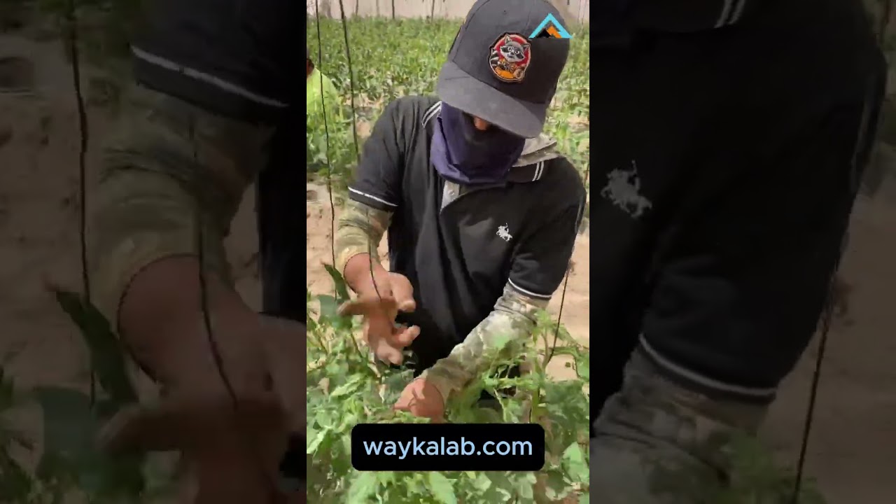 Te invito a que me invites