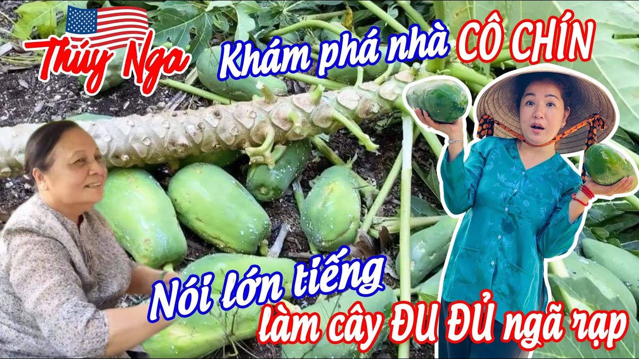 Thúy Nga khám phá nhà cô Chín 300 mẫu đất  - No. 34 || Cuộc Sống Ở MỸ