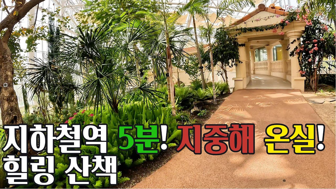 🔥🌳지하철역 5분! 만족도는 500%! 지중해 온실! 일월수목원 힐링 산