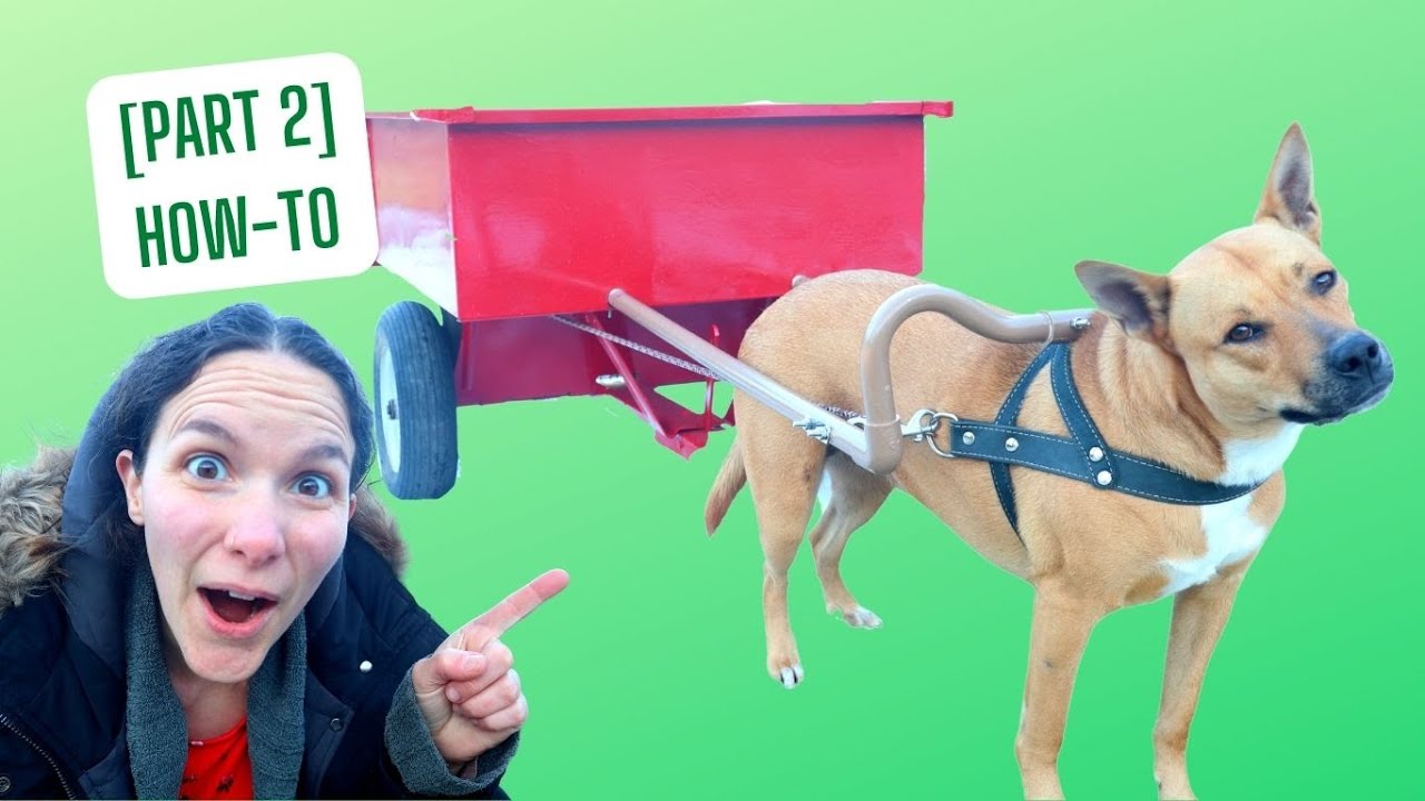 HOW-TO: Make a DOG CART