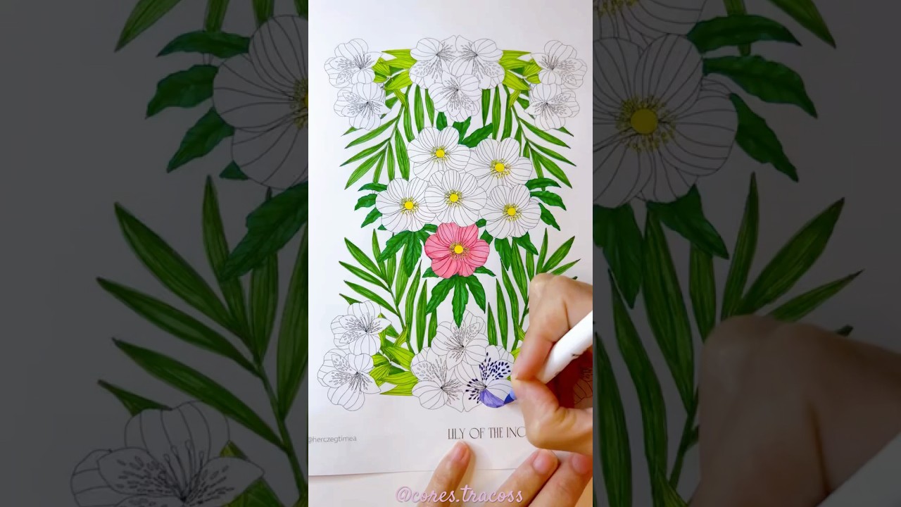 Coloring flowers 
