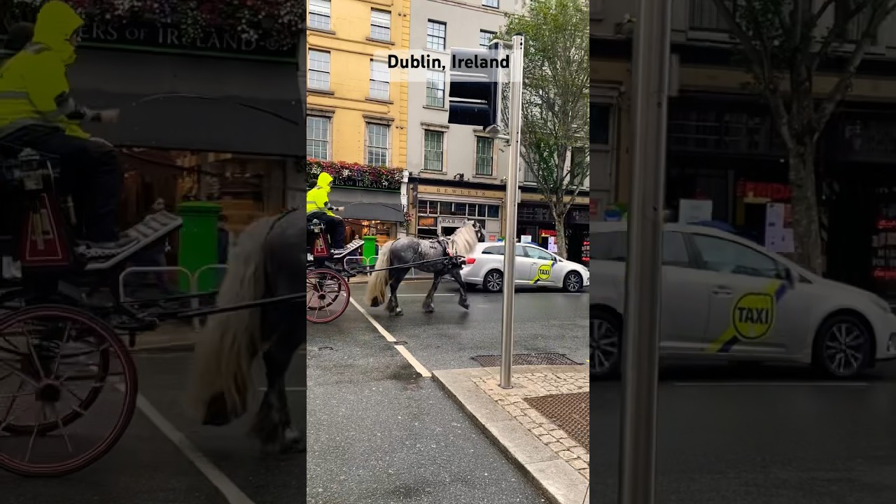 #dublin #dublinireland #youtubeshorts #shortvideo #views #shorts #trending #dublinstreets #ireland