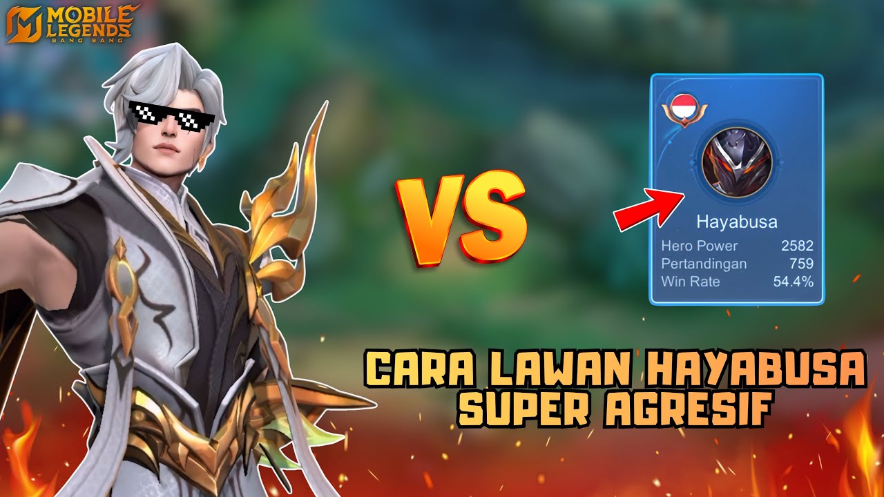 AAMON VS HAYABUSA! PERTARUNGAN SENGIT LAWAN HAYABUSA SUPER AGRESIF🔥