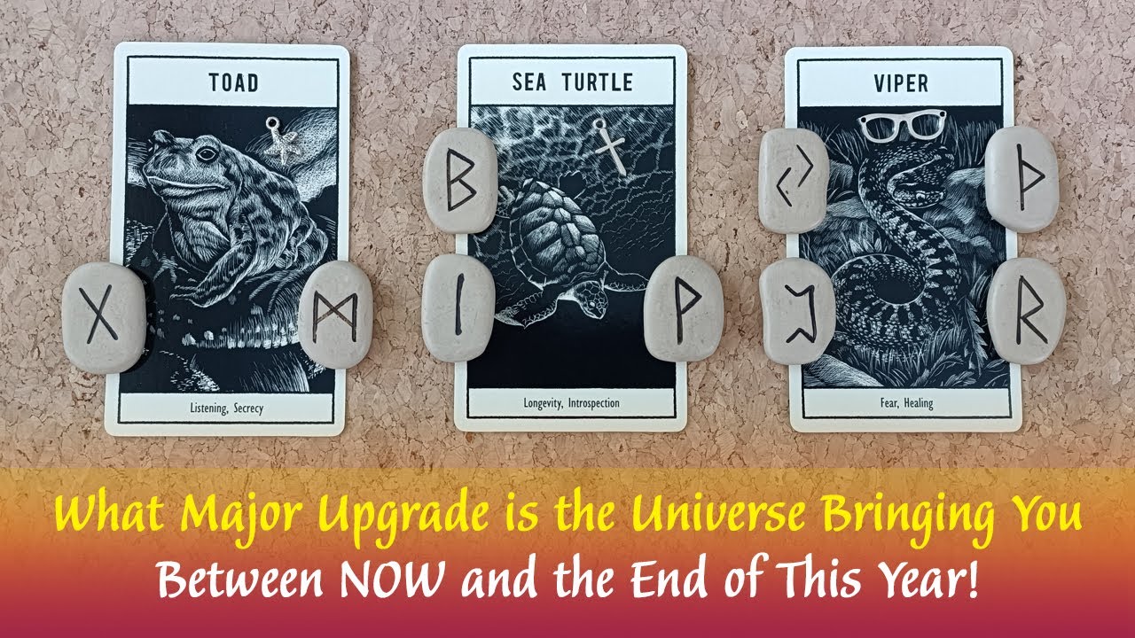What Major Upgrade is the Universe Bringing You Between Now & The End of This Year! 👉🪄⚡🪐