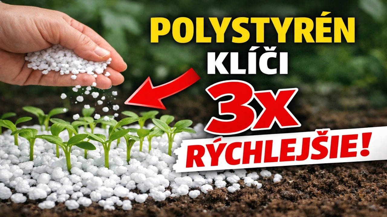 Zabudnite na perlit a vermikulit! Polystyrén urýchli klíčenie až trikrát. Poďme si spoločne otestov