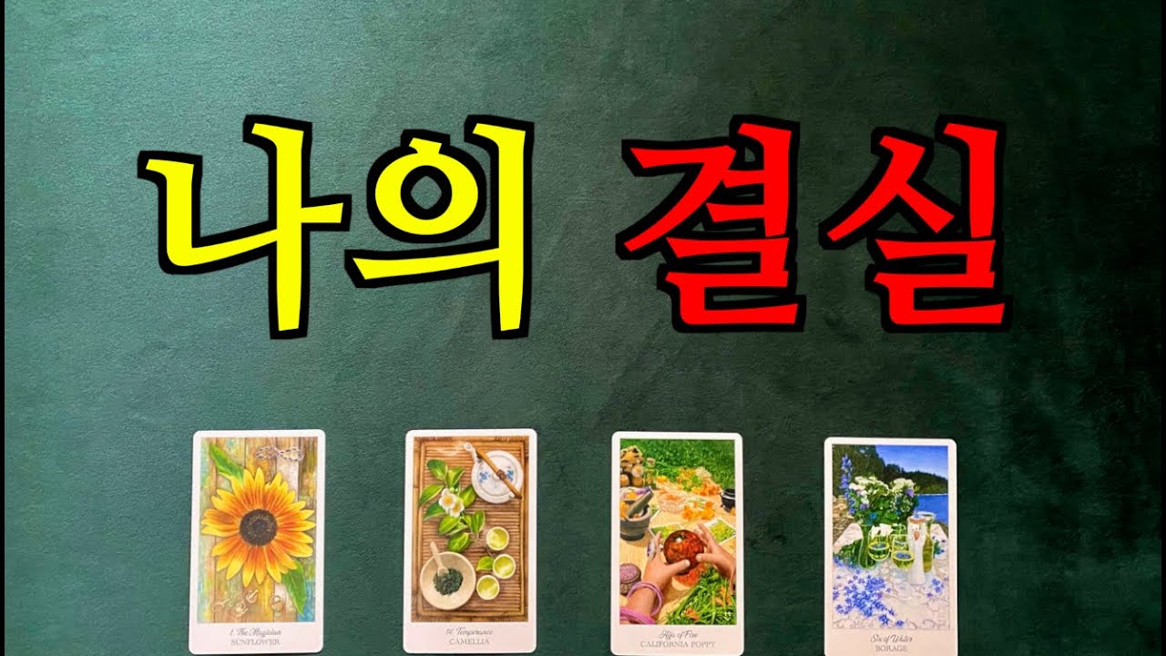 [영성타로] 내가 맺을 결실🌾