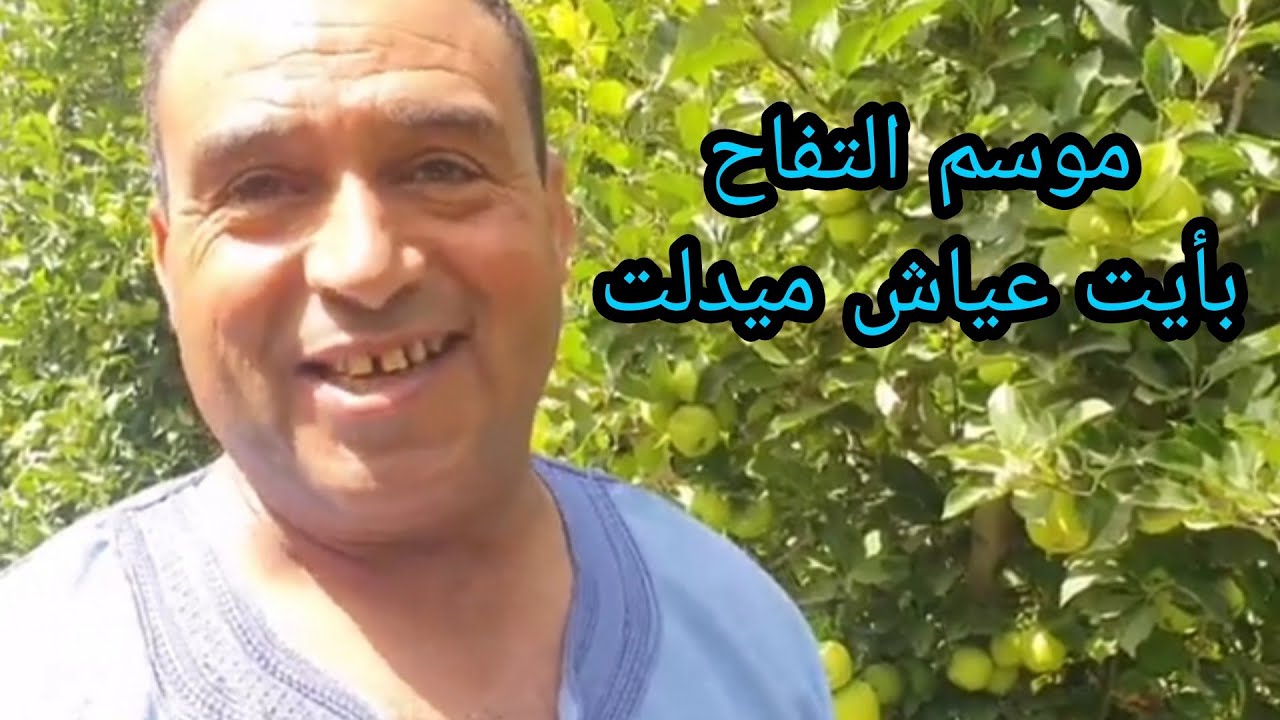 موسم التفاح بأيت عياش ميدلت
