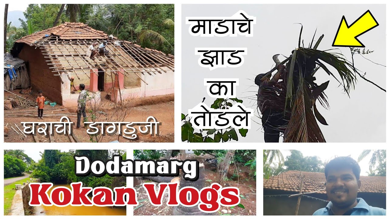 पावसाळ्यापूर्वी निसर्गात होणारे बदल | झाडांची ओळख | mi dodamarg kar | kokan | sindhudurg | dodamarg