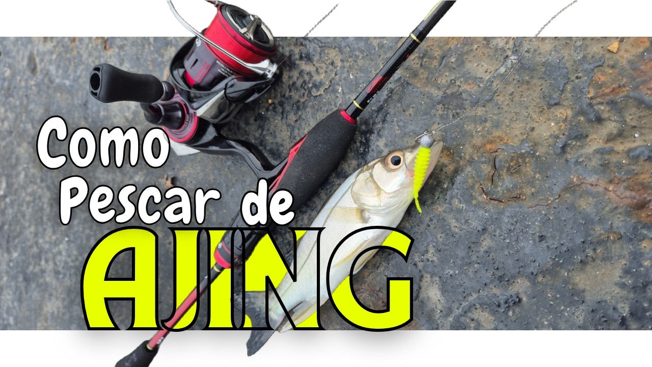 Dicas de Como Pescar de Ajing | Pescaria Okapari Desembarcada