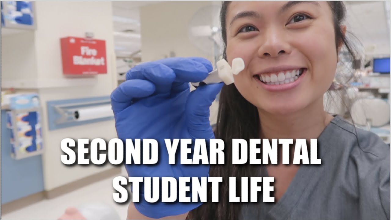 IMPLANTS, ENDO, DENTURES & MORE // LauraSmiles
