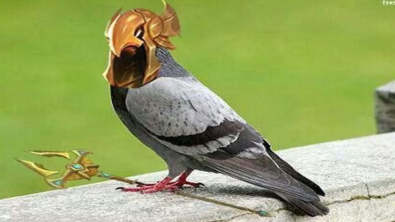 ИНЦИДЕНТ АЗИР МИД